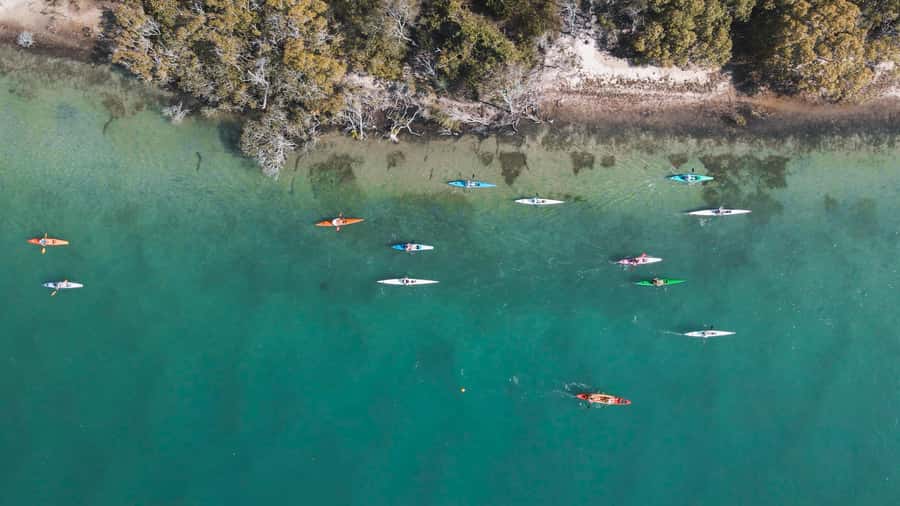 Noosa River: Mangroves and Mansions Guided Kayak Tour - Double-sit basics: easy on the arms, fun in the steering