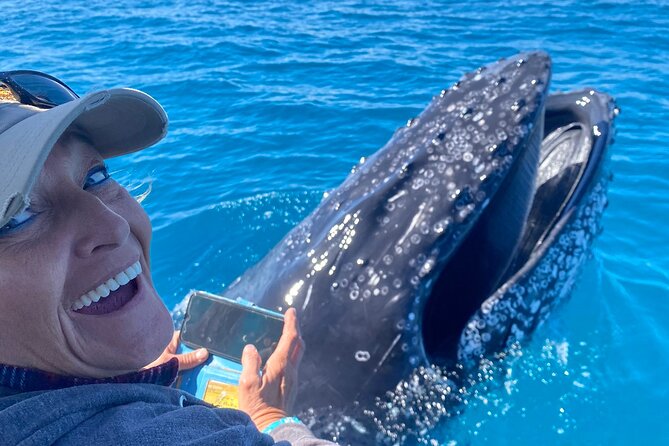Noosa Whale Watching Cruise – Humpback Whale Adventure - How to make the most of the 2-hour timing