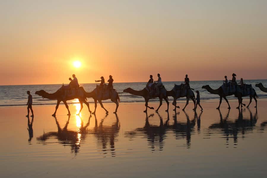 North of Rocks on Cable Beach: 1-Hour Sunset Camel Ride - Price and Value at $95 Per Person