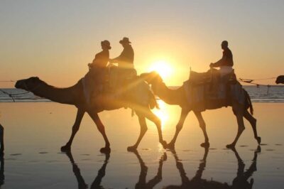 North of Rocks on Cable Beach: 1-Hour Sunset Camel Ride