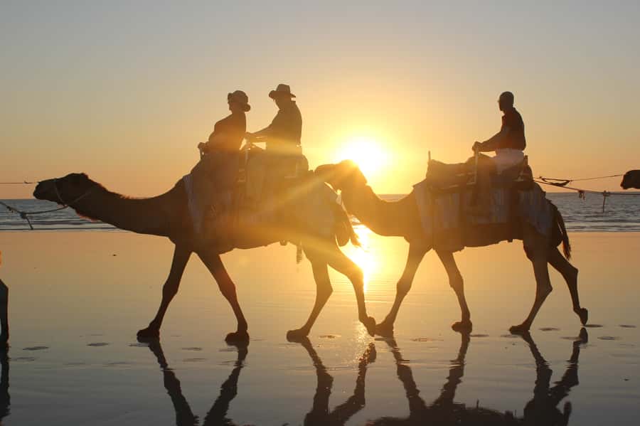 North of Rocks on Cable Beach: 1-Hour Sunset Camel Ride - Why the Camels Feel Calm (and What That Means for You)