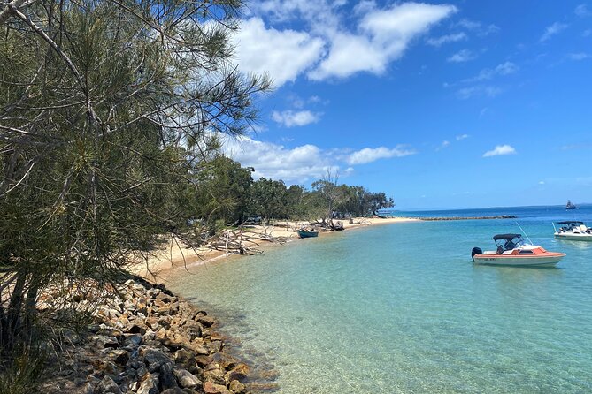North Stradbroke Island WILDLIFE Adventure Tour from Brisbane - Key highlights worth knowing before you go
