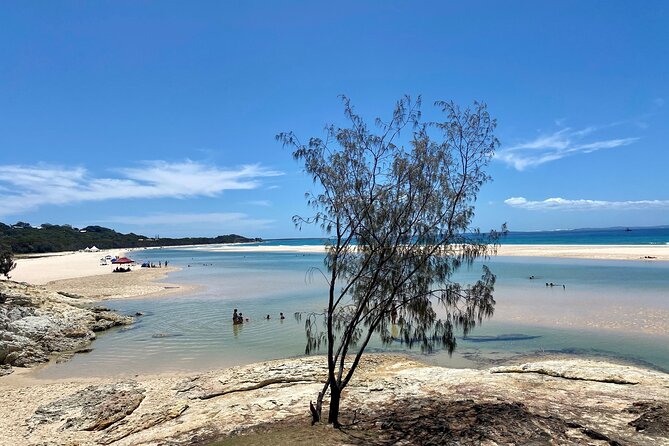 North Stradbroke Island WILDLIFE Adventure Tour from Brisbane - Meeting up early, then easing into island time