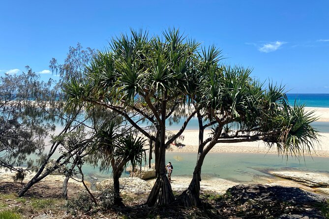 North Stradbroke Island WILDLIFE Adventure Tour from Brisbane - Cylinder Beach lookout plus a quick walk