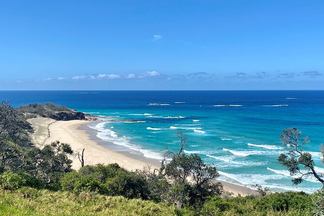 North Stradbroke Island WILDLIFE Adventure Tour from Brisbane - Ferry to Brown Lake, where tea trees tint the water