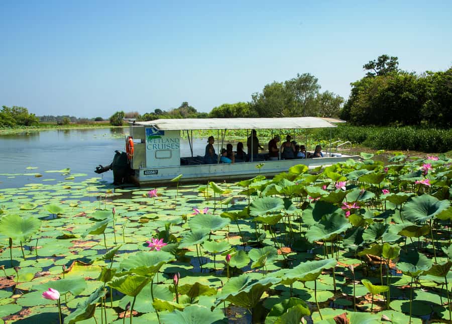 Northern Territory: Corroboree Billabong Nature Cruises - Corroboree Billabong and the Mary River Wetlands, the setting that makes this work