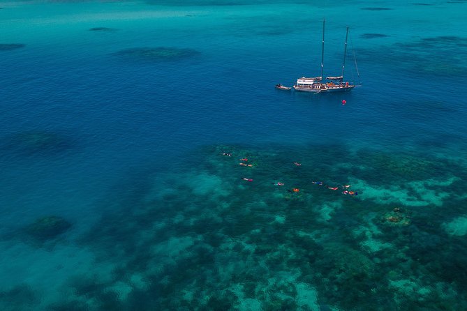 Ocean Free 25 guest Great Barrier Reef & visit Green Island Tour - Pinnacle Reef snorkeling: gear, crew help, and what you can realistically expect