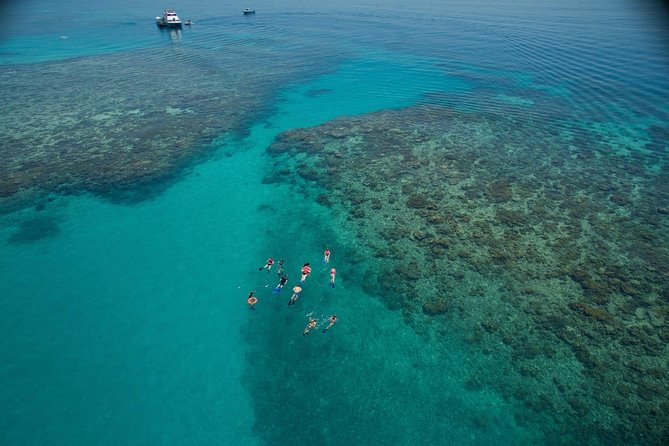 Ocean Freedom Great Barrier Reef Luxury Snorkel and Dive Cruise - Key things I’d zero in on before you go