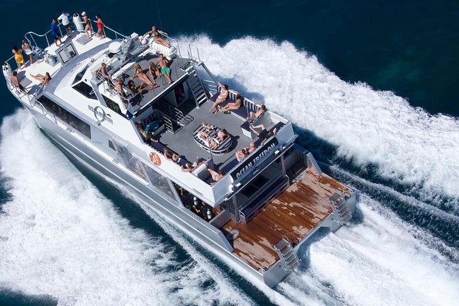 Ocean Freedom Great Barrier Reef Luxury Snorkel and Dive Cruise - Cairns Morning Routine: Reef Fleet Terminal, 7:15 am start