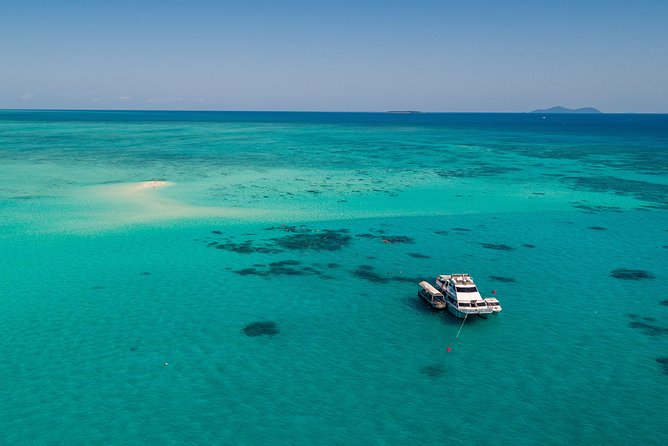 Ocean Freedom Great Barrier Reef Luxury Snorkel and Dive Cruise - Stop 2 at Upolu Cay Reef: the shallow coral garden feel