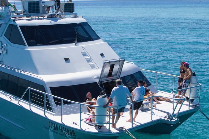 Ocean Freedom Great Barrier Reef Luxury Snorkel and Dive Cruise - Optional scuba (for those who want more): paperwork and medical limits