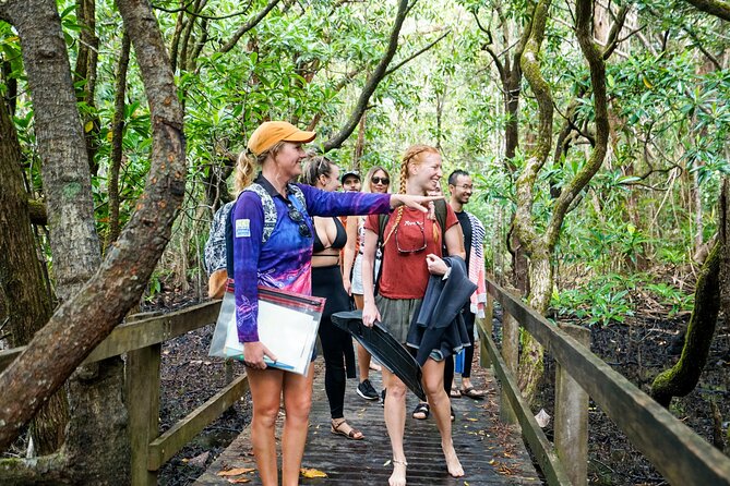 Ocean Safari Great Barrier Reef Experience in Cape Tribulation - Who should book this Ocean Safari and who should skip it
