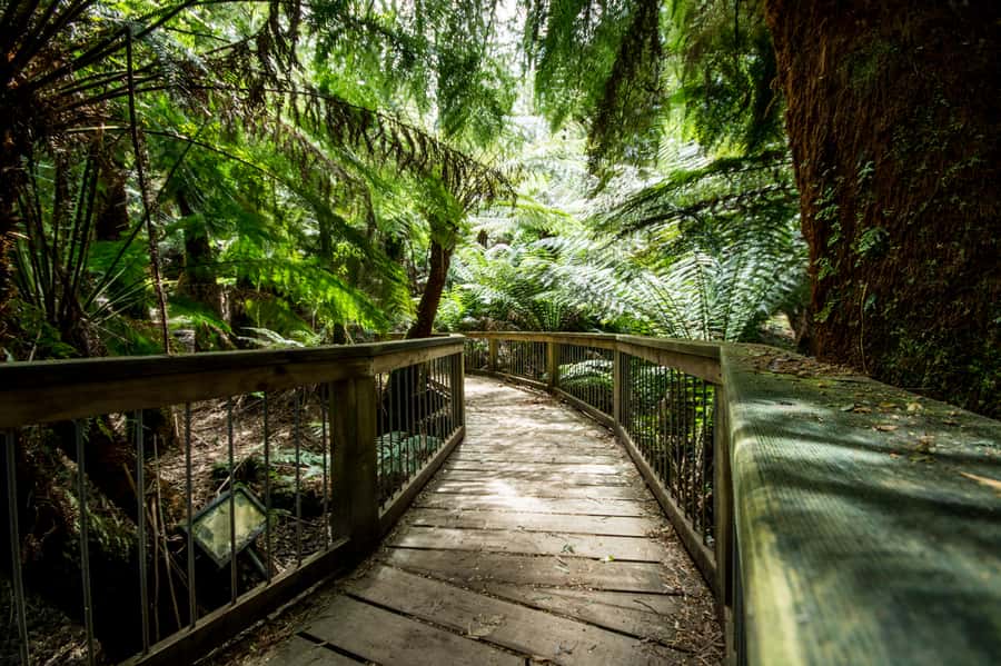 Oceans to Mountains Explorer: 3-Day Great Ocean Road Tour - Hikes, Weather, and What to Pack So You Do Not Regret Anything