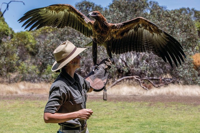 One Day Kangaroo Island Sip & See tour with return ferry transfers from Adelaide - The big picture: a one-day Kangaroo Island hit from Adelaide