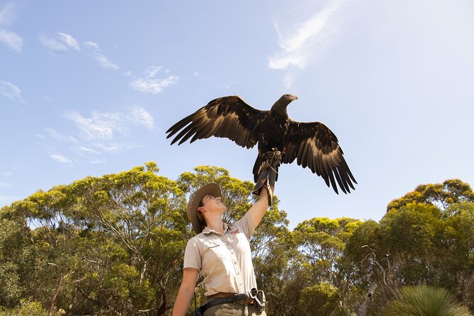 One Day Kangaroo Island Sip & See tour with return ferry transfers from Adelaide - Emu Ridge Eucalyptus: lunch plus a working distillery story