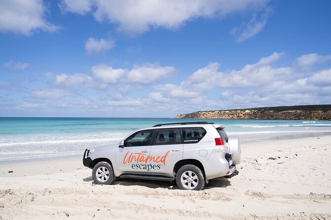 One Day Port Lincoln Tour - Tasting Eyre - Lunch at Fresh Fish Place: seafood, port energy, and local pride