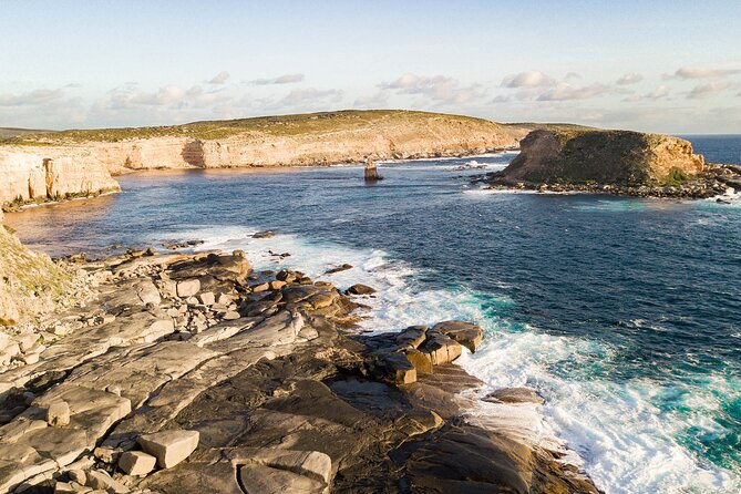One Day Port Lincoln Tour - Tasting Eyre - The guides: why the commentary shapes the whole day