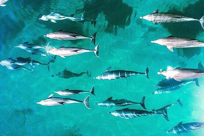 Outer Reef Odyssey - 40 minute Reef Scenic Flight - Key things that make Outer Reef Odyssey special