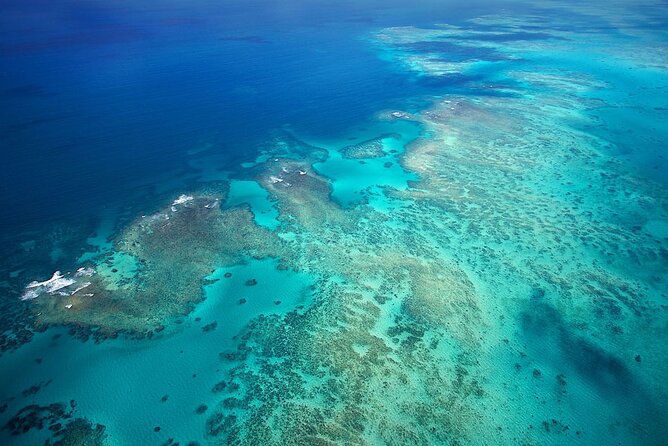 Outer Reef Odyssey - 40 minute Reef Scenic Flight - Inside the helicopter: comfort, weight limit, and real-world expectations