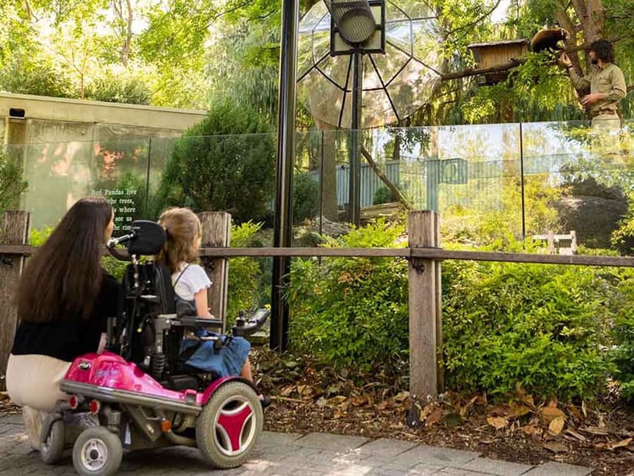 Panda & Friends Tour and a Day at Adelaide Zoo - Check in at the front entrance, then go straight to the calm