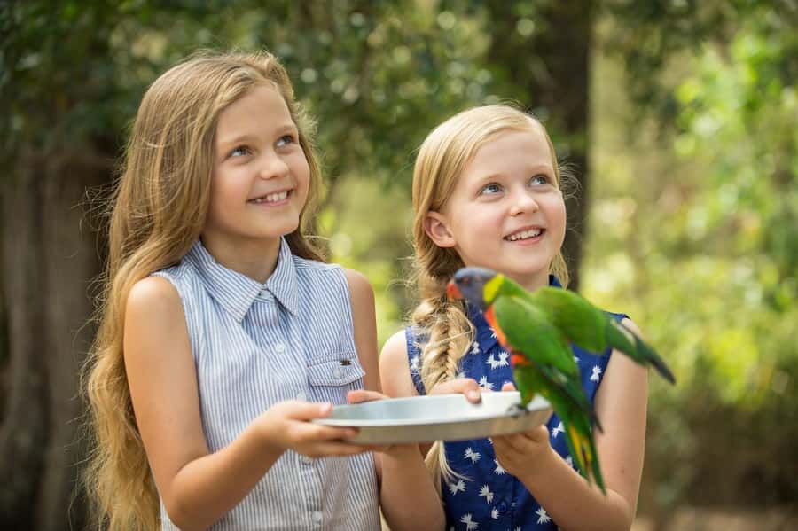 Paradise Country: Ultimate Aussie Farm Experience - Key Points to Know Before You Go
