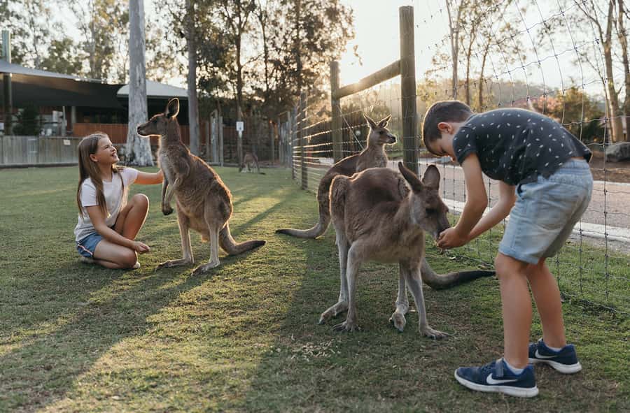 Paradise Country: Ultimate Aussie Farm Experience - Entering Paradise Country, Gold Coast Farm Style