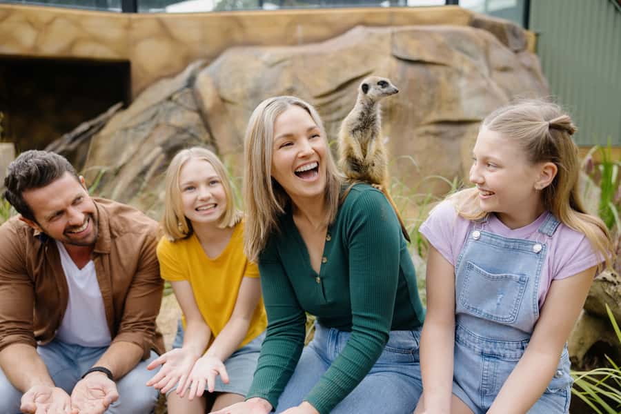 Paradise Country: Ultimate Aussie Farm Experience - The Big Animal Zones: Baby Nursery, Meerkats, Koalas, and Kangaroos