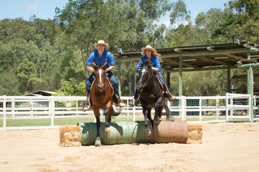 Paradise Country: Ultimate Aussie Farm Experience - Live Farm Shows: Sheep Herding With Dogs, Whips, and Stockhorses