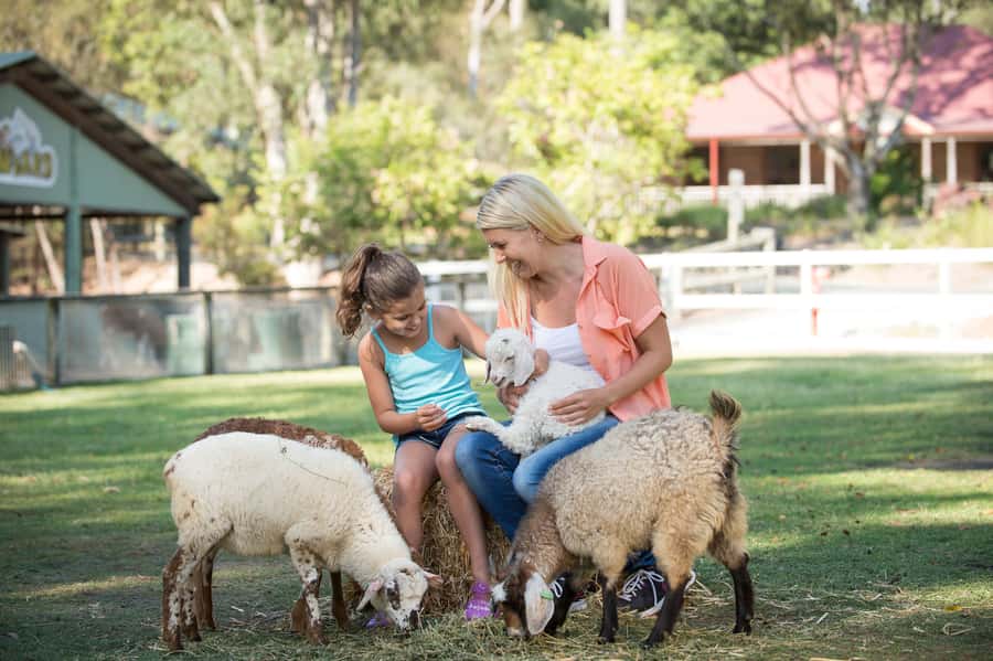 Paradise Country: Ultimate Aussie Farm Experience - Tractor Experience and the Staff Who Keep It Moving