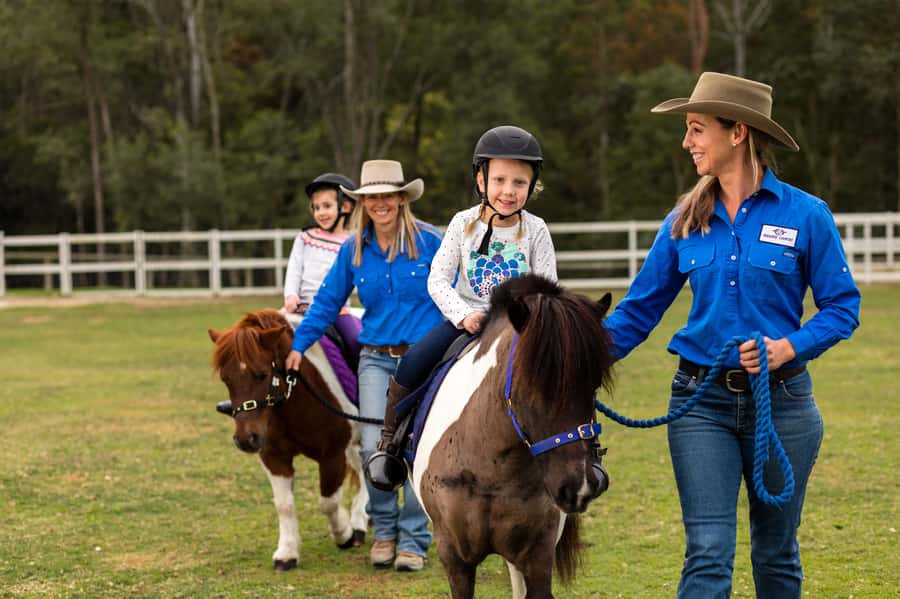Paradise Country: Ultimate Aussie Farm Experience - Animal Encounters: What’s Included Versus What You May Add