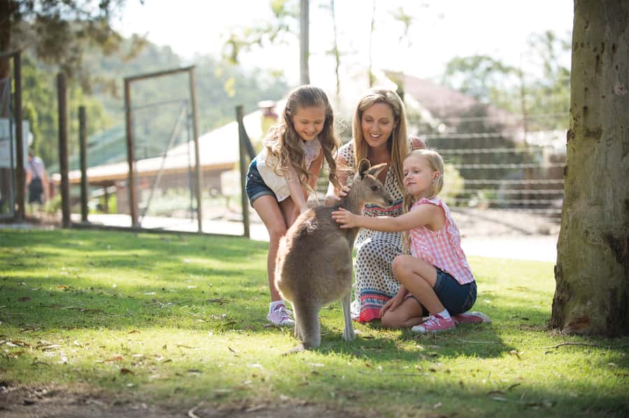 Paradise Country: Ultimate Aussie Farm Experience - Price and What You’re Actually Paying For