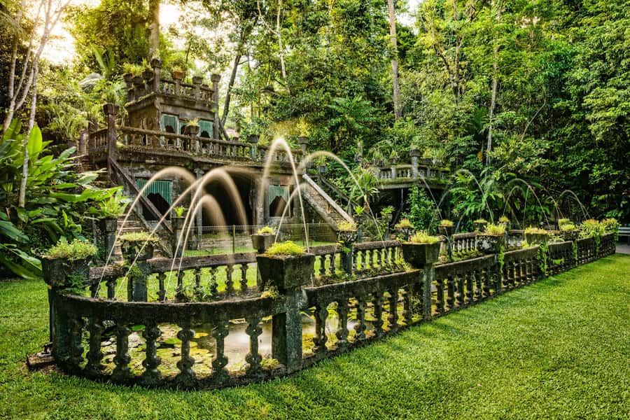 Paronella Park and Mamu Tropical Skywalk Ticket Combo - A day south of Cairns: two very different kinds of magic
