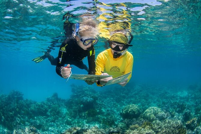 Passions of Paradise Great Barrier Reef Cruise by Catamaran - The catamaran day that makes the Great Barrier Reef feel close