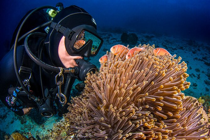 Passions of Paradise Great Barrier Reef Cruise by Catamaran - Comfort at sea: what to expect when it gets windy