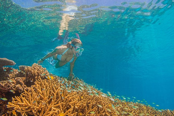Passions of Paradise Great Barrier Reef Cruise by Catamaran - Price and value: what $192.94 covers and what costs extra