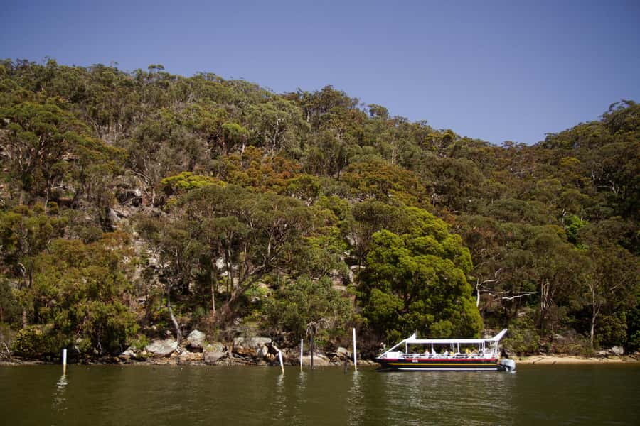 Pearl & Oyster Farm Hawkesbury River Cruise - Price and value: why $38 feels fair for what you get