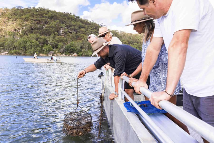 Pearl & Oyster Farm Hawkesbury River Cruise - Broken Bay Pearl Farm tour: from oyster spawning to what you can actually buy