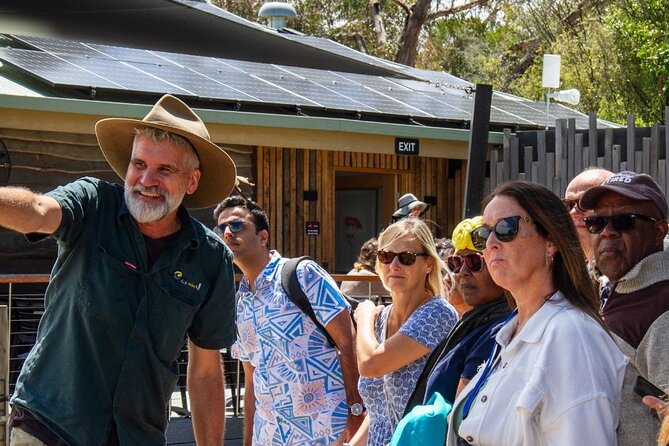 Penguin Parade, & Wildlife Encounters Eco Tour from Melbourne - Penguin Parade at Phillip Island Nature Parks: the night spectacle, with strict rules