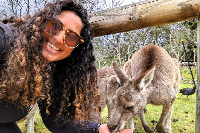 Penguin Parade, & Wildlife Encounters Eco Tour from Melbourne - Price and value: what $118.35 really covers