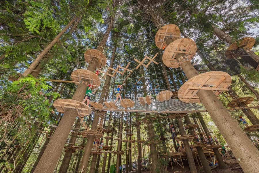 Pennant Hills: Tree Ropes Course Session - Your session flow: reception check-in to the first briefing