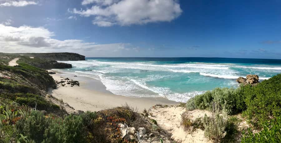 Penneshaw: Shore Excursion Kangaroo Island Scenic Tour - Key highlights to zero in on