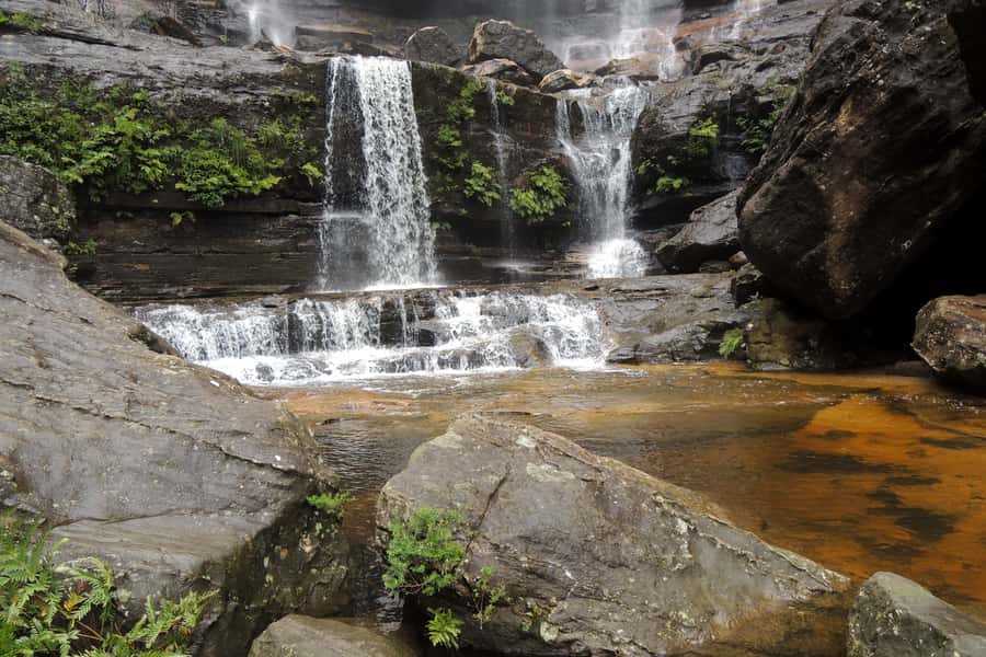 Personalised Blue Mountains Tour: Luxury Vehicles & Insights - Optional Scenic World and Big Viewpoints Your Guide Can Swap In