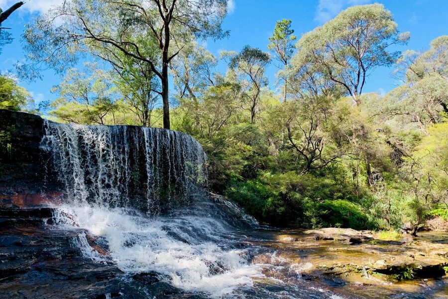 Personalised Blue Mountains Tour: Luxury Vehicles & Insights - Weather Is Not a Side Quest Here, It Shapes the Day