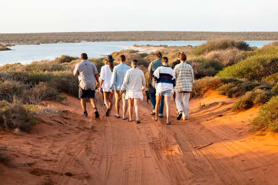 Perth: 4-Day Monkey Mia Pink Lake Coastal Loop Comfort Tour - Who should book this tour, and who should skip it