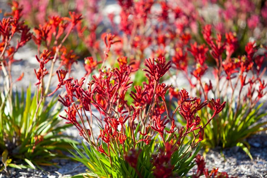 Perth: 4-Day Monkey Mia Pink Lake Coastal Loop Comfort Tour - What you should pack for this coastal loop (and what to leave home)