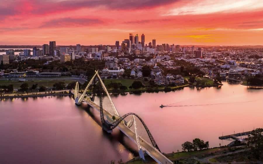 Perth & Fremantle Small-Group Tour with Swan River Cruise - How the Driver-Guide Improves the Whole Day