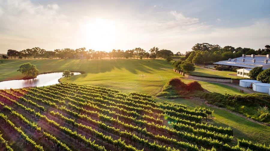 Perth: Full Day Swan Valley Cruise & Wine Tasting With Lunch - From Captain Cook Cruises to the Swan River: Where the Day Begins