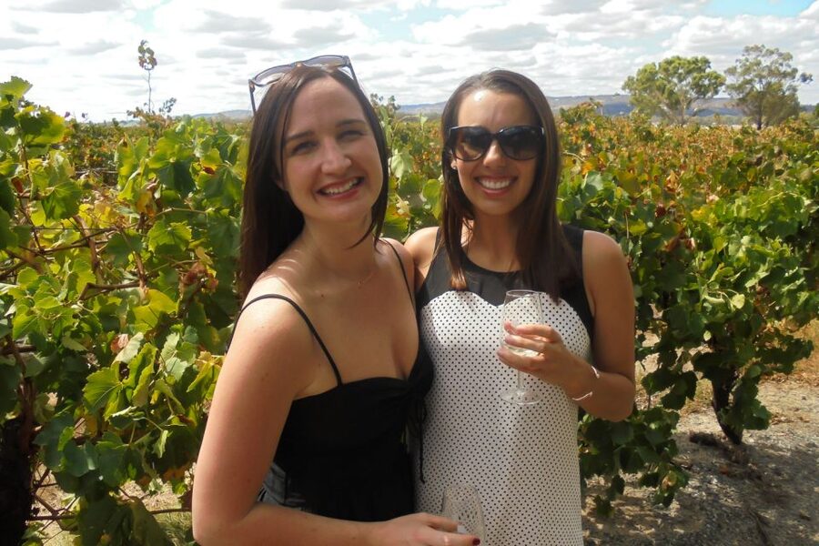 Perth: Full Day Swan Valley Cruise & Wine Tasting With Lunch - Timing, Pace, and the Heat Factor on a Perth Swan Valley Day