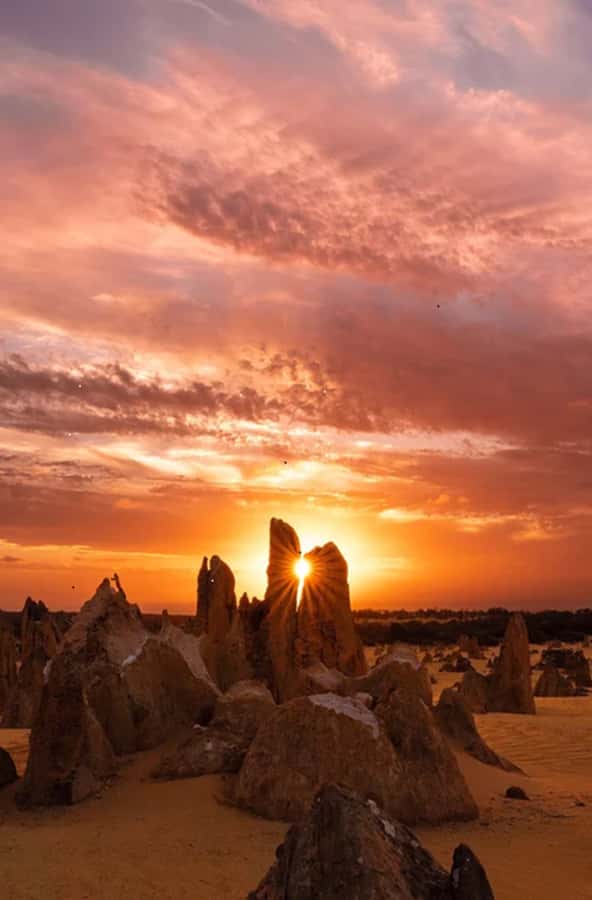 Perth: Pinnacles Desert Sunset & Stargazing with Dinner - From Perth to the Pinnacles: a late-afternoon timeline that makes sense
