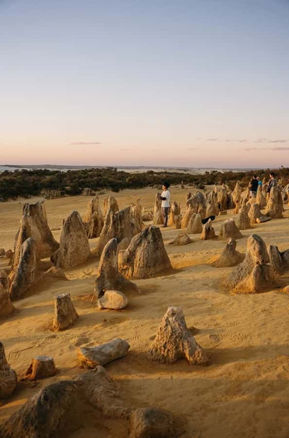 Perth: Pinnacles Desert Sunset & Stargazing with Dinner - Stargazing at the Pinnacles: what you can expect from the night sky session